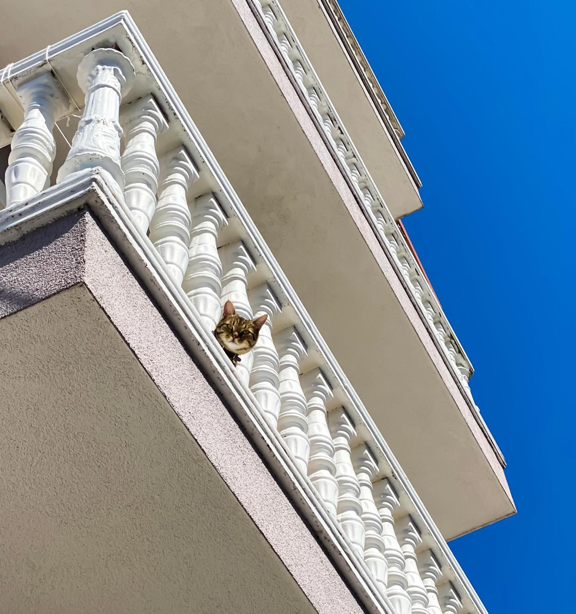 Northgate Apart-Villa Shkodra Exterior foto